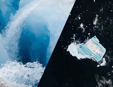 Miniatura: To koniec lodowego giganta. Rozpadł się...