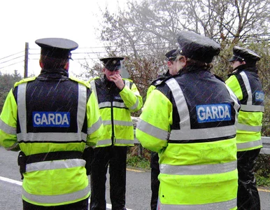 Miniatura: Jęki w mieszkaniu Polaka. Wezwano służby