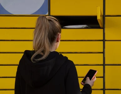 Miniatura: Bakterie i grzyby na wyświetlaczach...