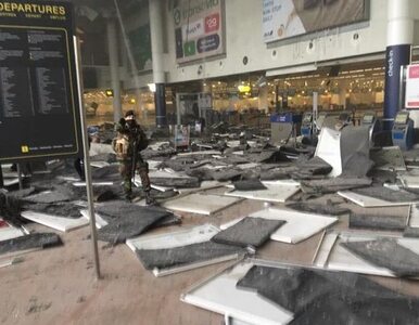 Miniatura: Świadkowie zamachów w Brukseli: Wszędzie...
