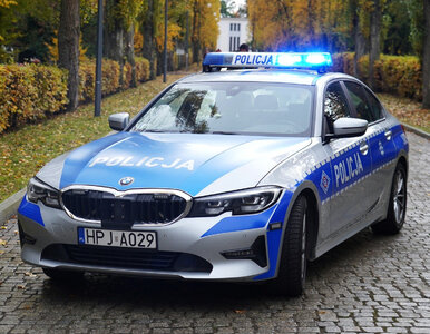 Miniatura: 13-latek podejrzany o zabójstwo brata....