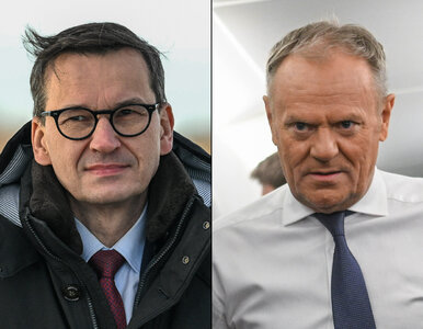 Miniatura: PiS upadnie? Morawiecki wbił szpilę...