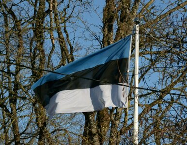 Miniatura: Flagi Europy. W tym QUIZIE tylko mistrz...