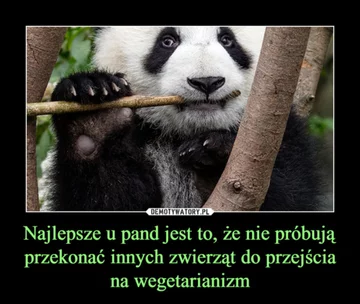 Memy związane z wegetarianizmem 