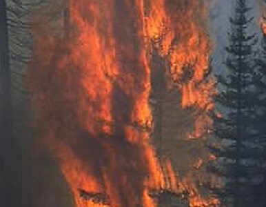 Miniatura: Pożary zagrażają Ukrainie