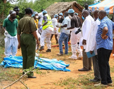 Miniatura: Makabryczne odkrycie w lesie Shakahola....
