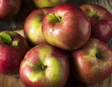 Miniatura: Możemy mieć tej jesieni nadmiar jabłek....