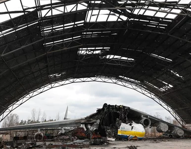 Miniatura: Dane na wagę złota. Jak amerykański wywiad...