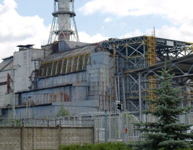 Miniatura: Ukraina chce stworzyć w Czernobylu...