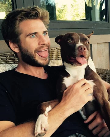 Liam Hemsworth 