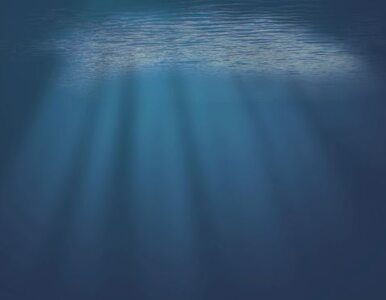Miniatura: Naukowcy zbadali głębiny, a w nich.....
