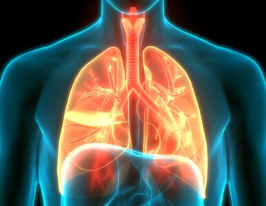 Płuca po COVID-19: w jakim są stanie i jak o nie dbać?