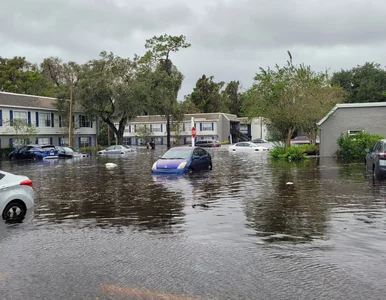 Miniatura: Przez zmiany klimatyczne straciliśmy 70...