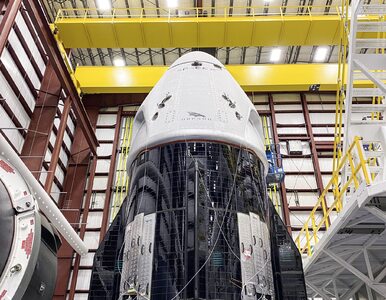 Start misji Demo-2 odwołany. NASA i SpaceX podjęły decyzję ze względu na...