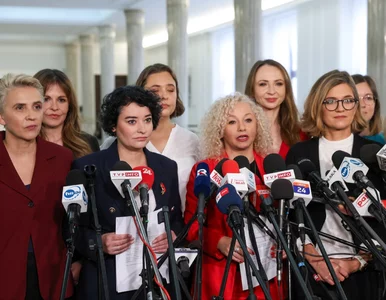 Miniatura: Temat aborcji już pierwszego dnia obrad...