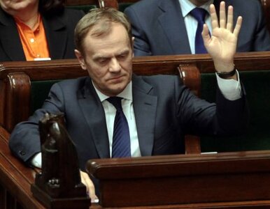 Miniatura: Tusk: Polska nie będzie dyktować warunków...