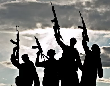 Miniatura: Islamska krucjata, czyli czym grozi kryzys...