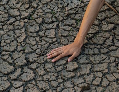 Miniatura: Miliony ludzi zagrożone brakiem wody....