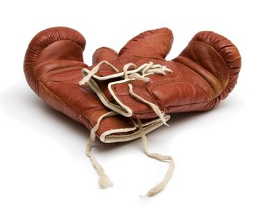 Miniatura: Amerykański bokser wypuszczony z...