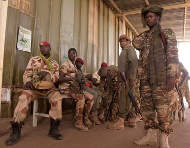 Miniatura: Czad wyśle armię do walki z Boko Haram....