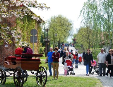 Miniatura: Rewelacja na majówkę. Kręcili tu Pana...