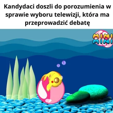 Mem związany z debatą prezydencką 