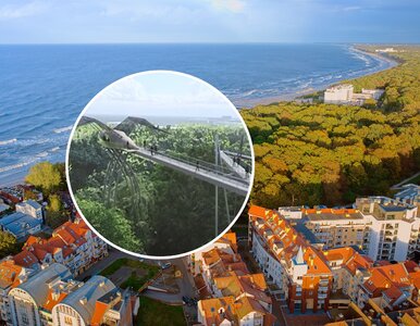 Miniatura: Nowa atrakcja czy koszmar? Ten pomysł nad...