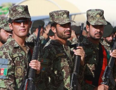 Miniatura: Afgański komendant policji zaprosił...