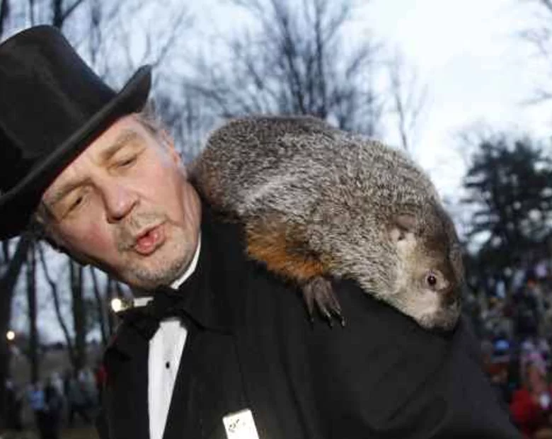 Miniatura: Świstak nie zobaczył cienia - zima wkrótce...