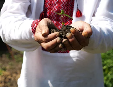 Miniatura: Tak pokolenie Z podchodzi do tradycyjnych...