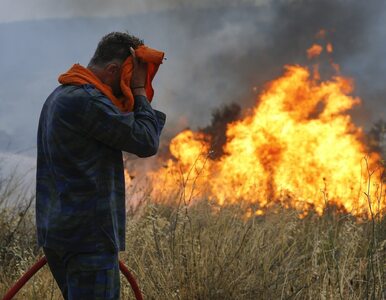 Miniatura: Tragiczne pożary w Grecji. Polacy wśród...