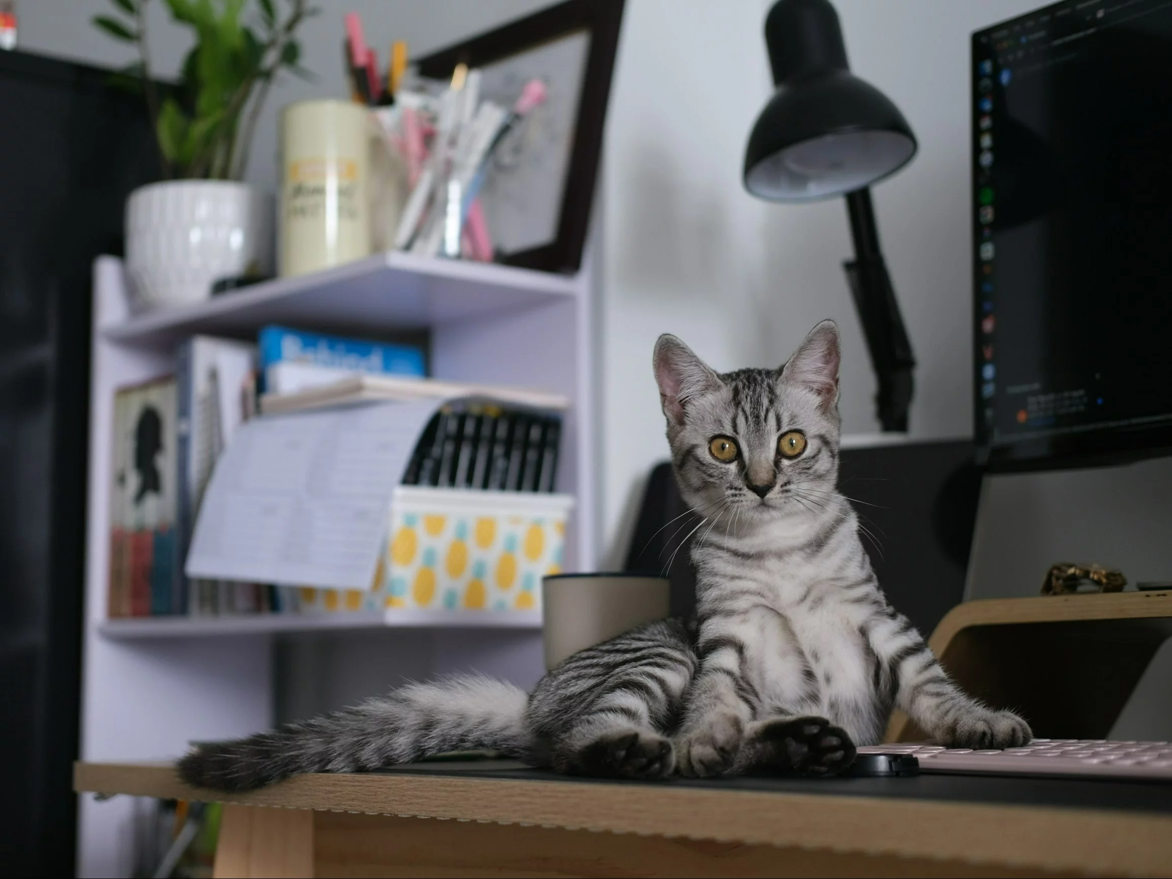 Quiz ortograficzny z jednym dylematem. U czy ó?