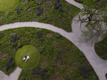 Naturalistyczny ogród Pieta Oudolfa na Vitra Campus w Weil am Rhein – przykład harmonii między dzikością a precyzyjnym projektowaniem 