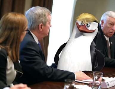 Miniatura: Pingwin zamiast Trumpa na oficjalnych...