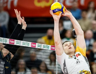 Miniatura: Trefl Gdańsk ma plan na Jastrzębski Węgiel...