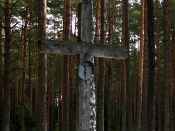 Krzyż w&nbsp;lesie katyńskim Smoleńsk