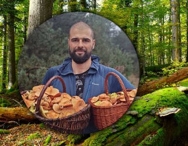 Miniatura: Od wielkopolskich lasów po karaibskie...