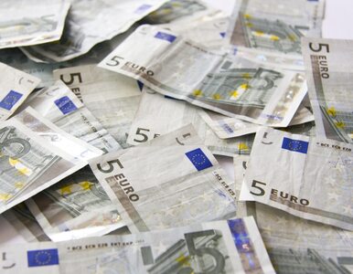 Miniatura: Łotwa przyjmie euro. Za rok