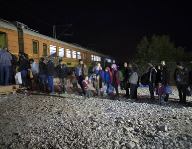 Miniatura: Protest imigrantów na granicy Macedonii....