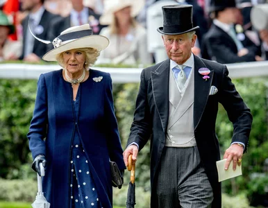 Miniatura: Brytyjczycy nie sprostali zadaniu, Polacy...