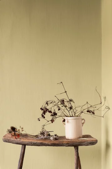 Kolory naturalne z Palety ColourFutures 2023 