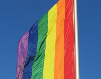 Miniatura: Parlament zalegalizował małżeństwa gejów....