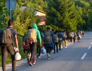Miniatura: Niemcy chwalą się sukcesem migracyjnym....
