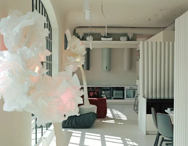 Miniatura: PuraPuri – showroom AGD, jakiego brakowało...