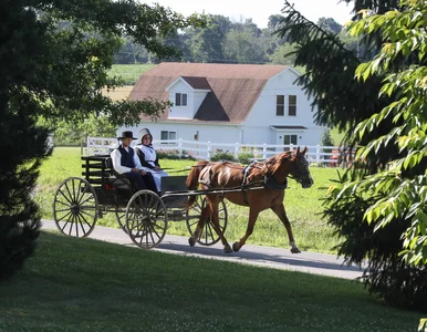 Miniatura: Prawdopodobnie jest na świecie...