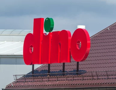 Miniatura: Dino Oil – sieć sklepów chce sprzedawać...