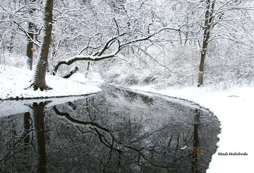 Park Skaryszewski fot. Wanda Modzelewska