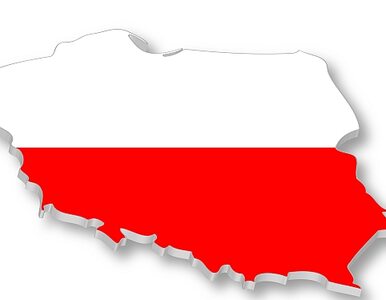 Miniatura: Polska w czołówce krajów działających na...