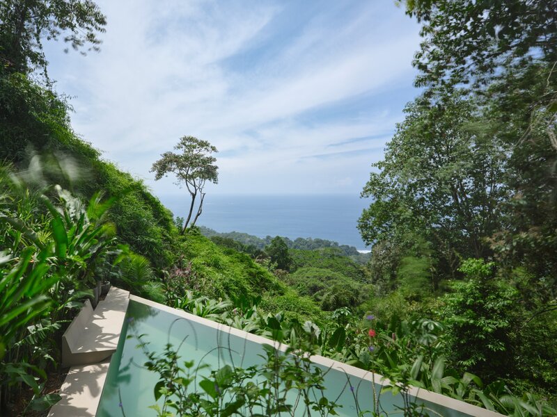 Dom w dżungli, projekt Formafatal