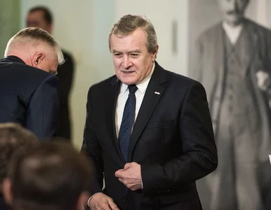 Miniatura: Gliński apeluje do Niemców, by...